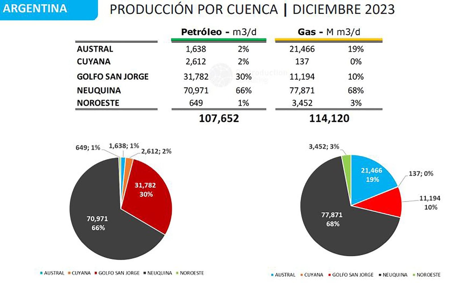 El peso del gas y petróleo patagónicos