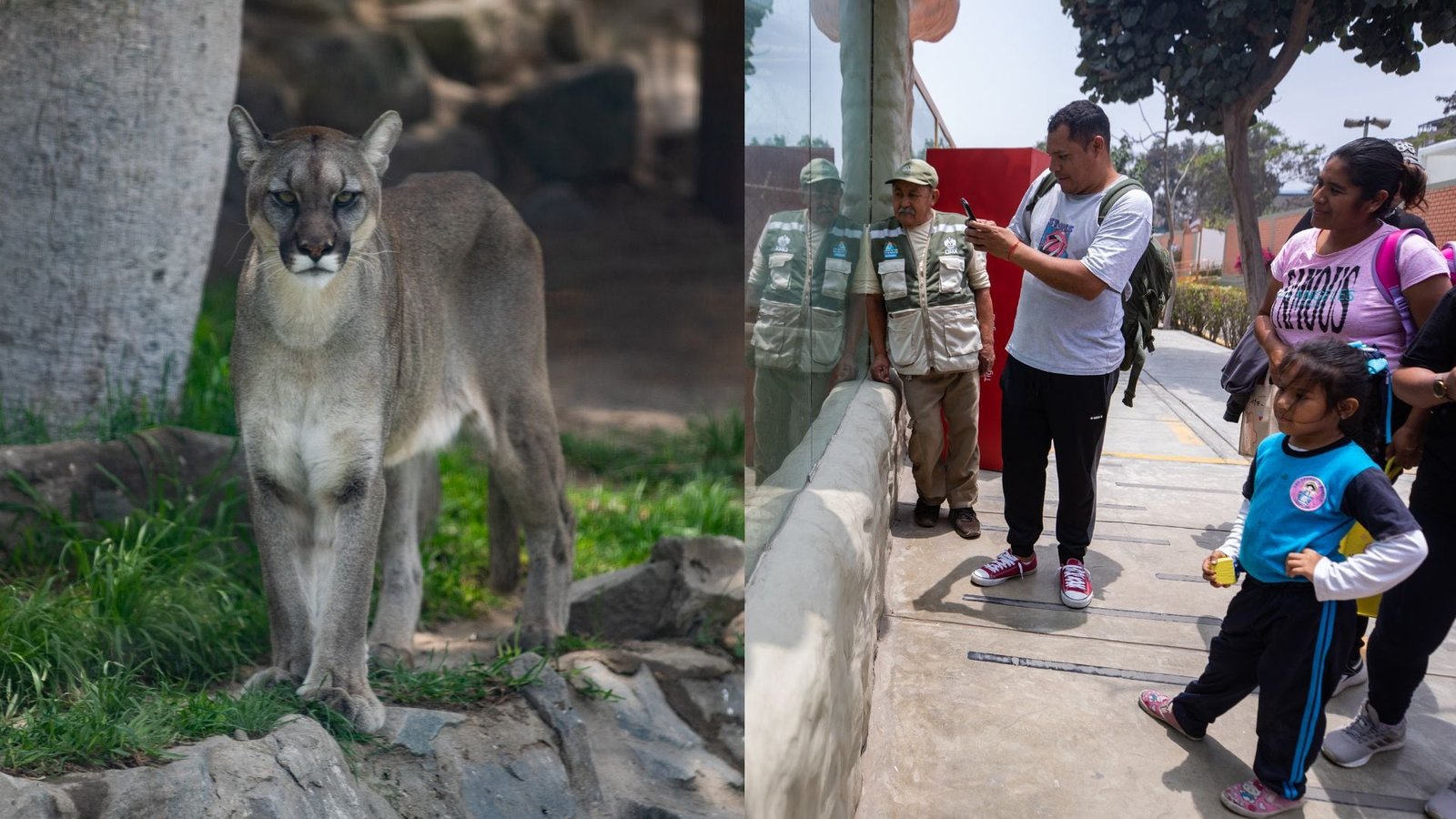 Parque de las Leyendas de Huachipa en nueva sede para la familia de Ate|MML