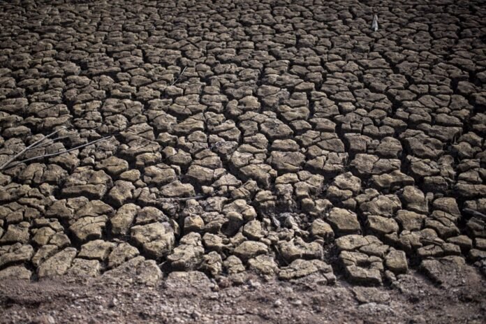 Illa afea a ERC culpar a otros sobre la sequía y Aragonès le afea el