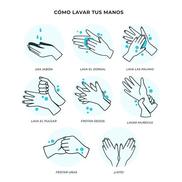 Instrucciones para el lavado de manos (Tecnautos)