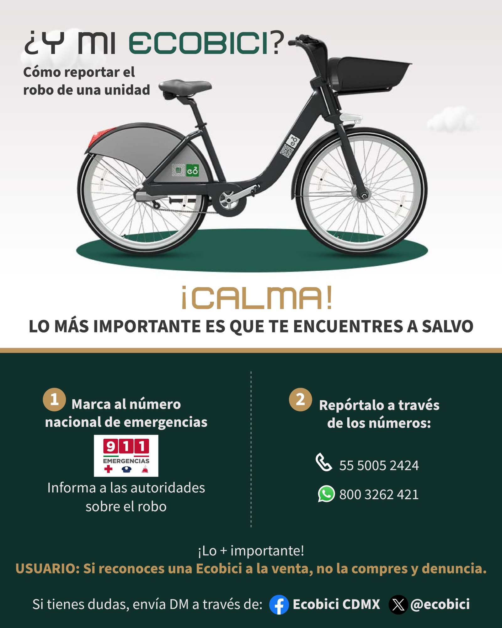 Ecobici robo - 29 agosto