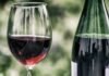 Para brindar: hoy es el Día del Vino Tinto